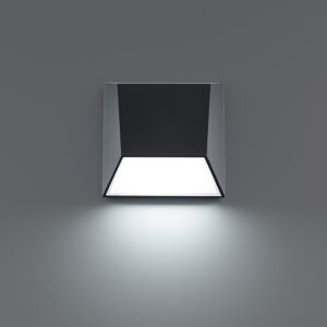 Atlantis 1-Light LED Outdoor Wall Light in Black