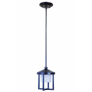 Craftmade Alta 9" Outdoor Hanging Light in Midnight