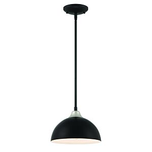 Craftmade Kahn 1-Light Outdoor Pendant in Midnight with Satin Aluminum