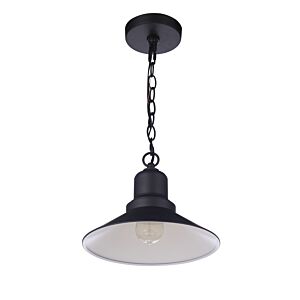 Craftmade Singleton 1-Light Outdoor Pendant in Midnight