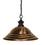 Z-Lite Shark 1-Light Pendant Light In Bronze