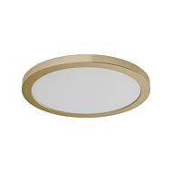 DVI Avro 1-Light LED Wall with Flush Mount in Brass (3000K)