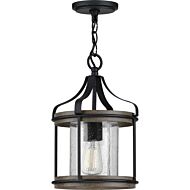 Brenham 1-Light Outdoor Pendant in Black