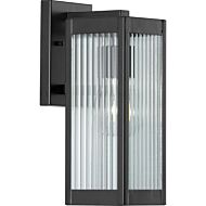 Felton 1-Light Wall Lantern in Black