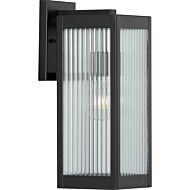 Felton 1-Light Wall Lantern in Black