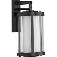 Irondale 1-Light Wall Lantern in Black