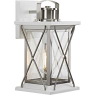 Barlowe 1-Light Wall Lantern in Stainless Steel