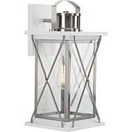 Barlowe 1-Light Wall Lantern in Stainless Steel