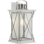 Barlowe 1-Light Wall Lantern in Stainless Steel