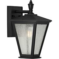 Cardiff 1-Light Wall Lantern in Black