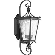 Cadence 1-Light Wall Lantern in Black