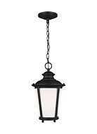 One Light Outdoor Pendant by Generation Lighting.