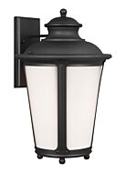 One Light Outdoor Wall Lantern by Generation Lighting.