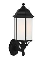 One Light Outdoor Wall Lantern by Generation Lighting.