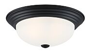 Decorative Flushmount 2-Light Flushmount in Matte Black