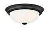 Decorative Flushmount 2-Light Flushmount in Matte Black