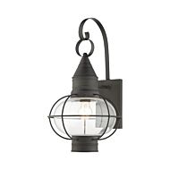 Newburyport 1-Light Outdoor Wall Lantern in Charcoal