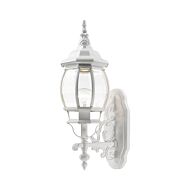 Frontenac 1-Light Outdoor Wall Lantern in Textured White