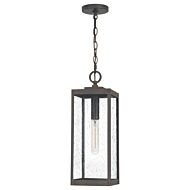 One Light Outdoor Hanging Lantern by Quoizel