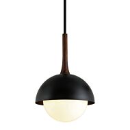 One Light Pendant by Troy Lighting