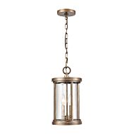 Brison 2-Light Outdoor Pendant in Vintage Brass