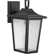 Padgett 1-Light Outdoor Wall Lantern in Black