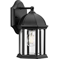 Dillard 1-Light Outdoor Wall Lantern in Black