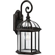 Dillard 1-Light Outdoor Wall Lantern in Antique Bronze