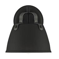 Albany 1-Light Wall Lantern in Black