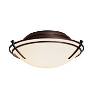 Hubbardton Forge 16 Inch 2 Light Presidio Tryne Ceiling Light in Dark Smoke