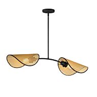 Bonnet Two Light Chandelier in Black by Maxim