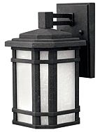 Hinkley Cherry Creek 1-Light Outdoor Light In Vintage Black