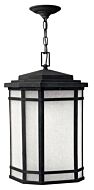 Hinkley Cherry Creek 1-Light Outdoor Light In Vintage Black