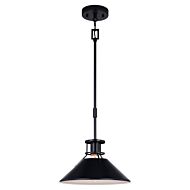 Canton 1-Light Pendant in Black and Matte White