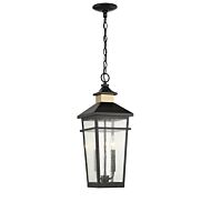 Two Light Outdoor Hanging Lantern by Savoy House