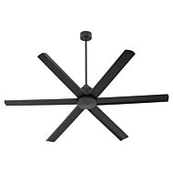 65" Ceiling Fan by Quorum