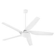 65" Ceiling Fan by Quorum