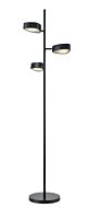 DVI Northen Marches 3-Light Floor Lamp in Ebony