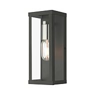 Gaffney 1-Light Outdoor Wall Lantern in Black with Brushed Nickel