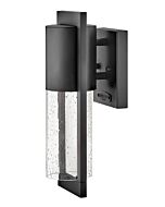 Hinkley Shelter 1-Light Outdoor Light In Black