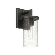 Otto 1-Light Wall Lantern in Matte Black