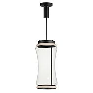 Syndicate 2-Light LED Pendant in Black