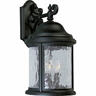 Ashmore 3-Light Large Wall Lantern in Textured Black