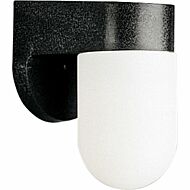 Polycarbonate Outdoor 1-Light Wall Lantern in Black