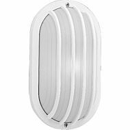 Polycarbonate Outdoor 1-Light Wall Lantern in White