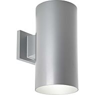 Cylinder 1-Light Wall Lantern in Metallic Gray