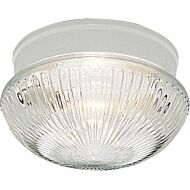 Fitter 2-Light Flush Mount in White