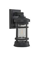 Resilience Lanterns 1-Light Outdoor Lantern in Textured Black