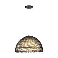 One Light Pendant by Alora