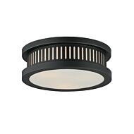 Oxford 3-Light Outdoor Flush Mount in Black